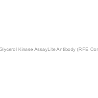 E. coli Glycerol Kinase AssayLite Antibody (RPE Conjugate)
